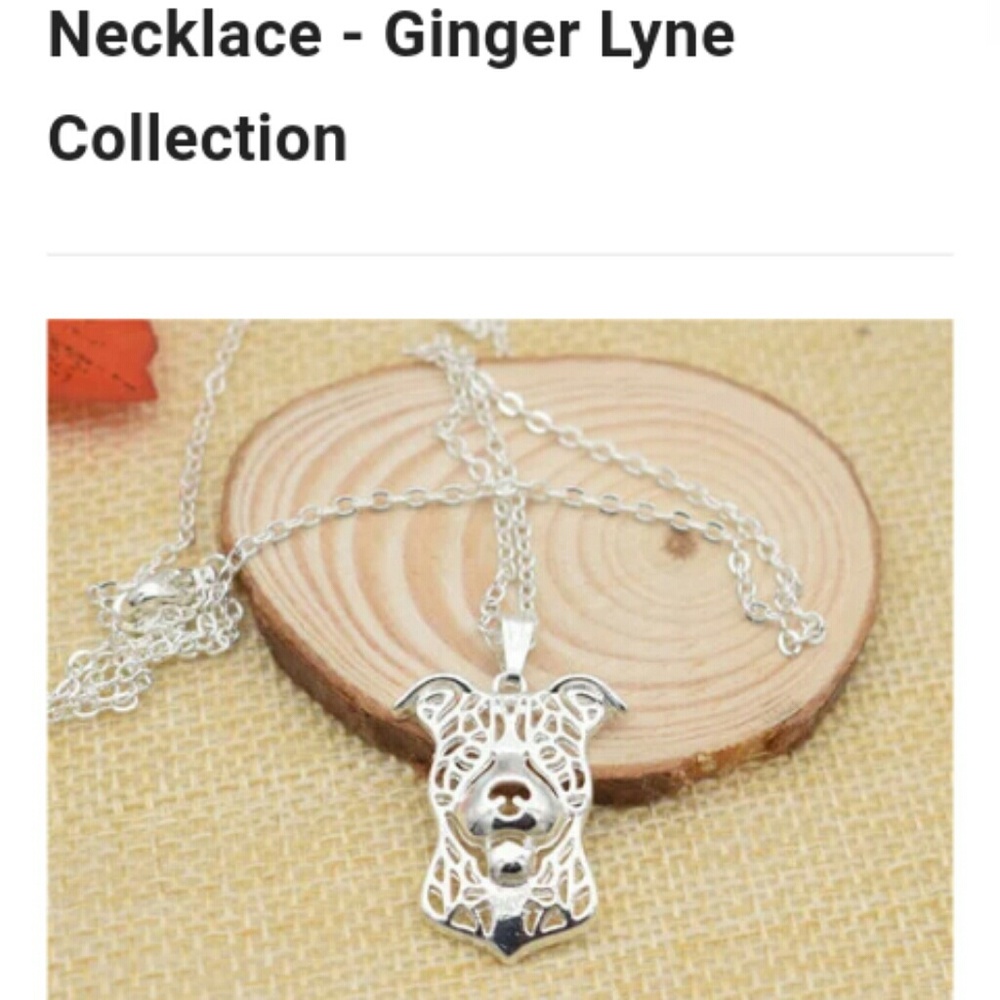 20" silver Pitbull necklace